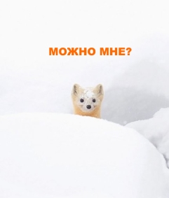 можно мне.jpg
